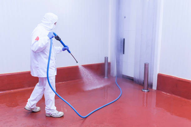 Best Oil Spill Cleanup  in Grain Valley, MO